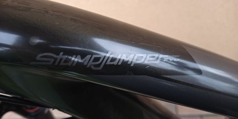 Specialized Stumpjumper Evo carbon 