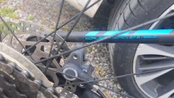 Trek 