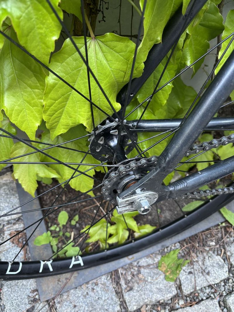 Dolan Pre Cursa - Fixedgear dráhové kolo