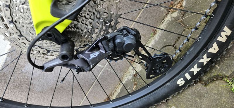 Scalpel Carbon SE 2 5/2023