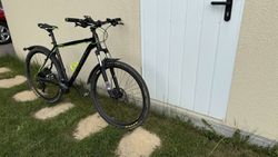 Maxbike Taal 29”