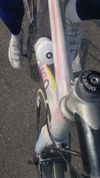 Colnago Arte by Jardin