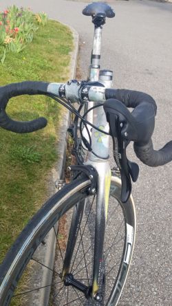 Colnago Arte by Jardin