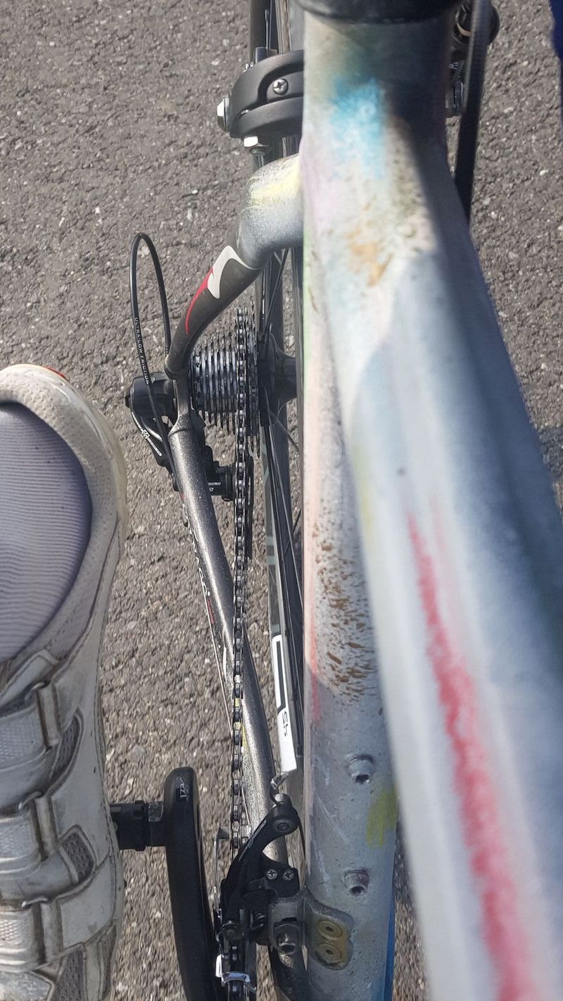 Colnago Arte by Jardin