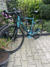 Kellys Soot 80 2023
