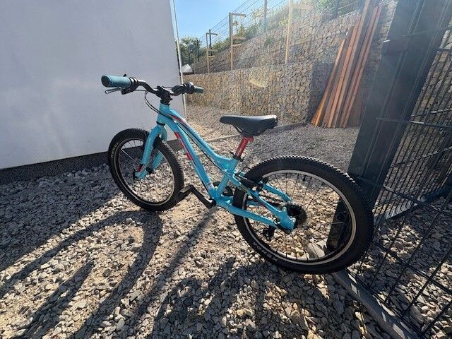 GT Stomper 20"