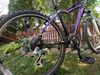 Kellys Expert 26