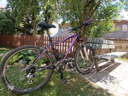 Kellys Expert 26
