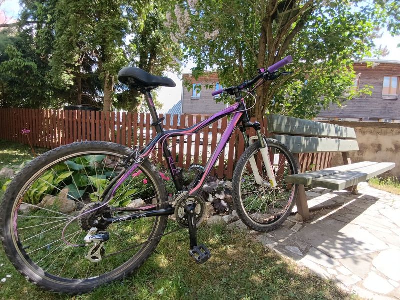 Kellys Expert 26