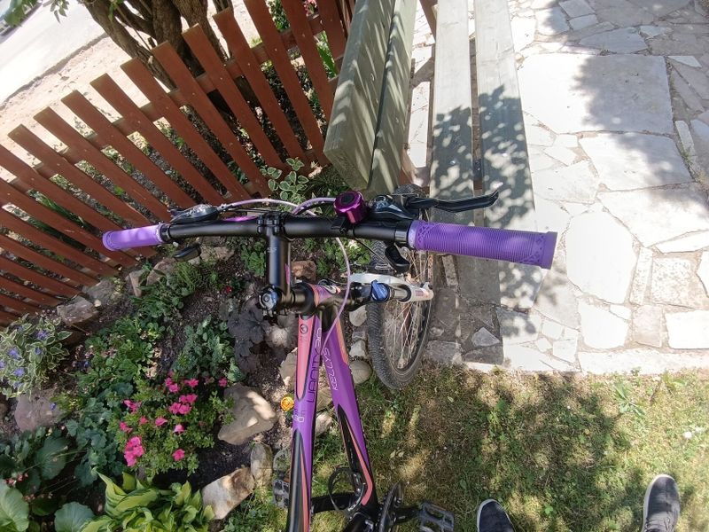 Kellys Expert 26