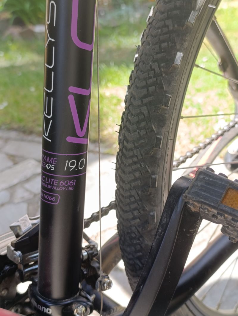 Kellys Expert 26