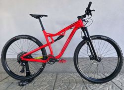 Horské kolo ROCKRIDER XC 100 S 2020 29″