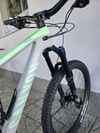 Horské kolo Canyon Strive CF 7.0 Carbon 2021 29″