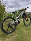 Propain TYEE 29"
