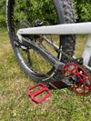 Propain TYEE 29"