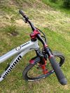 Propain TYEE 29"