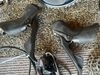 Komplet sada Shimano Ultegra R8000 11s