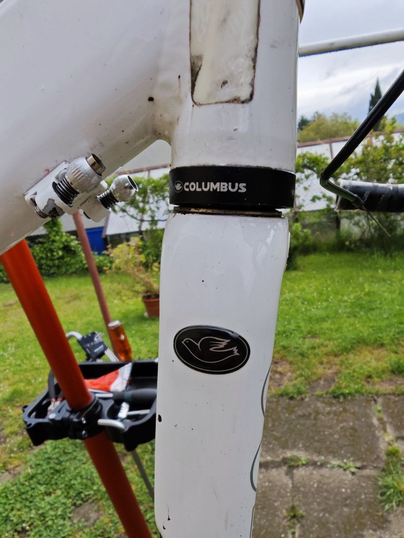 Cinelli colubus