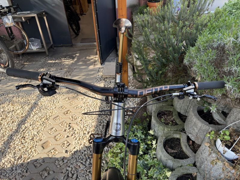 Commencal META AM 29, custom build
