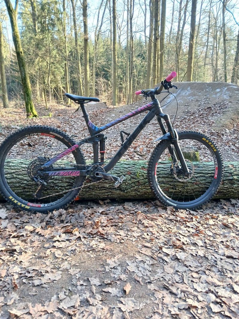 Trek Remedy 8