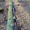 Trek Remedy 8