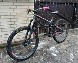 Trek Remedy 8