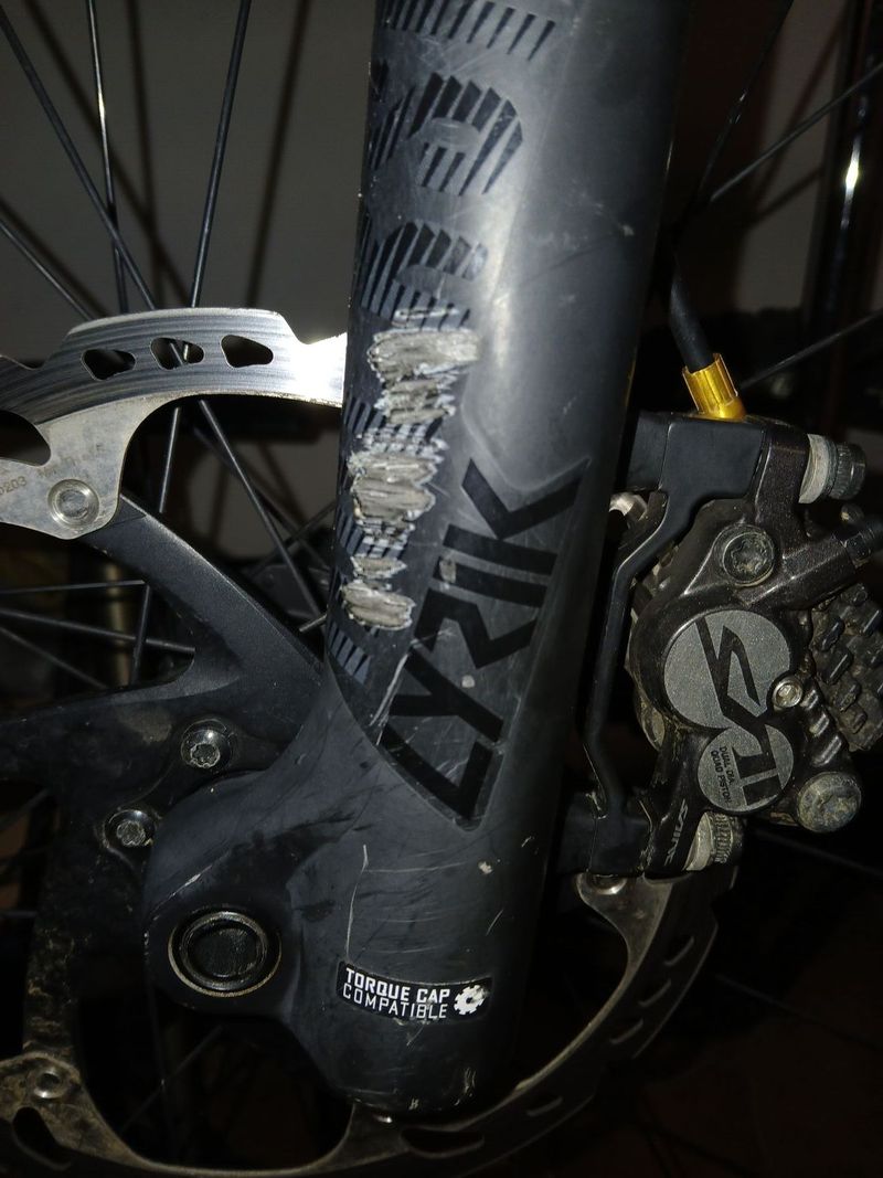 Trek Remedy 8