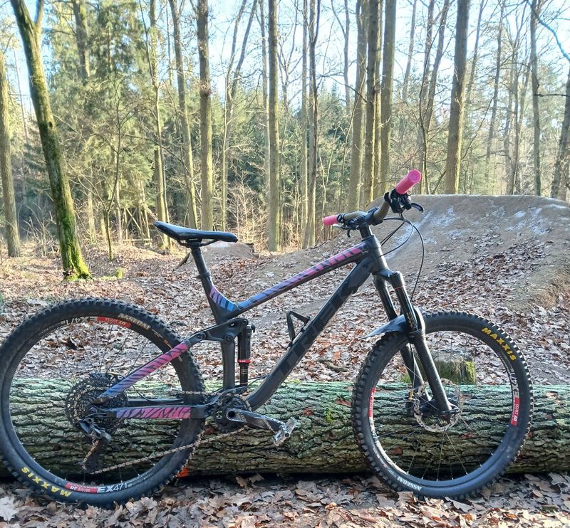 Trek Remedy 8