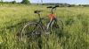 Rock Machine Crossride 350