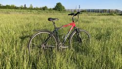 Rock Machine Crossride 350