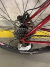MTB Jamis Dragon