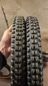 Maxxis Minion