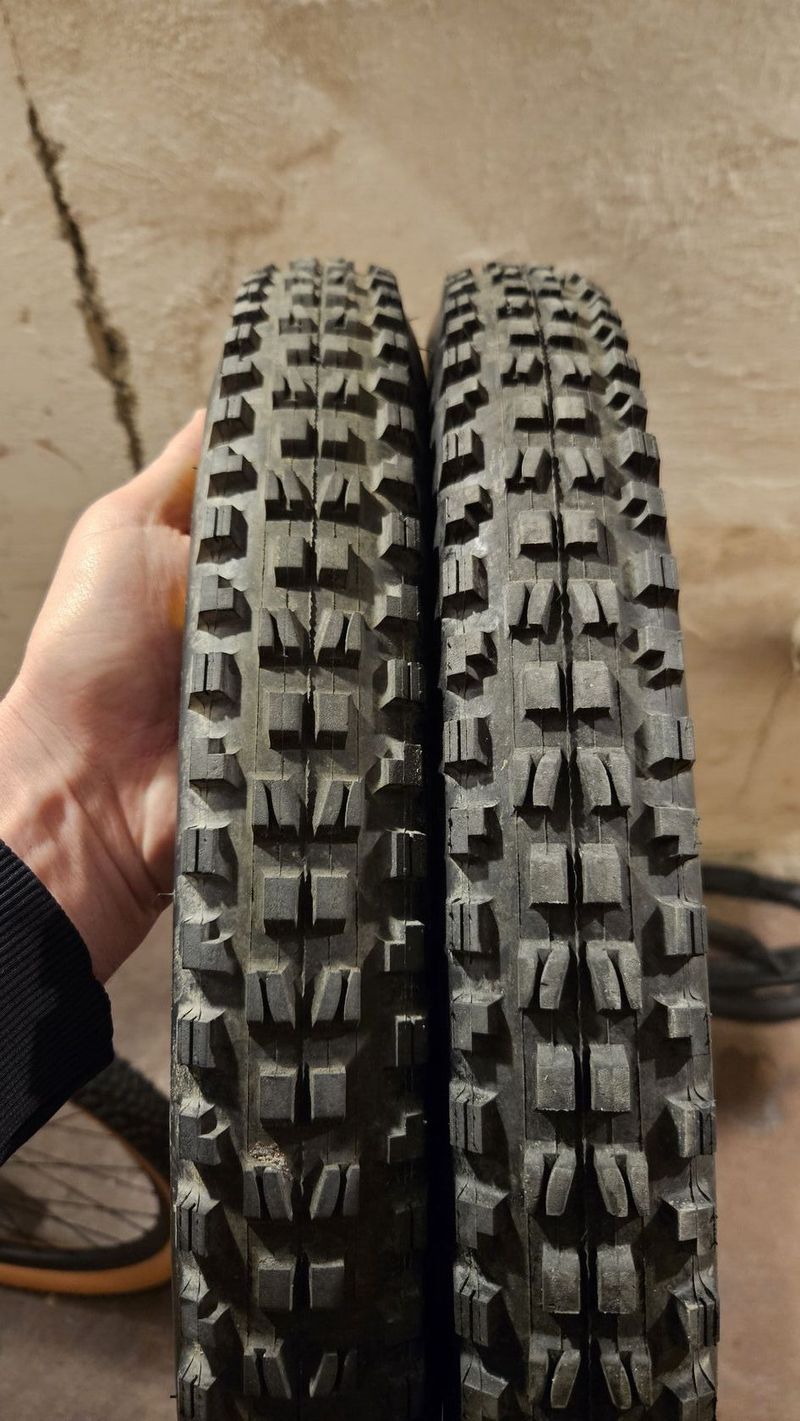 Maxxis Minion