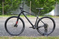 Focus Raven 8.7 (L)