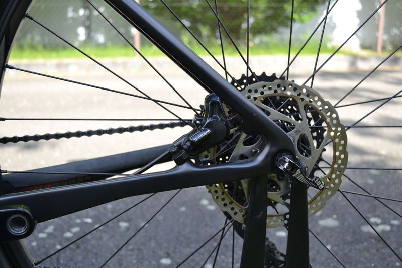 Focus Raven 8.7 (L)