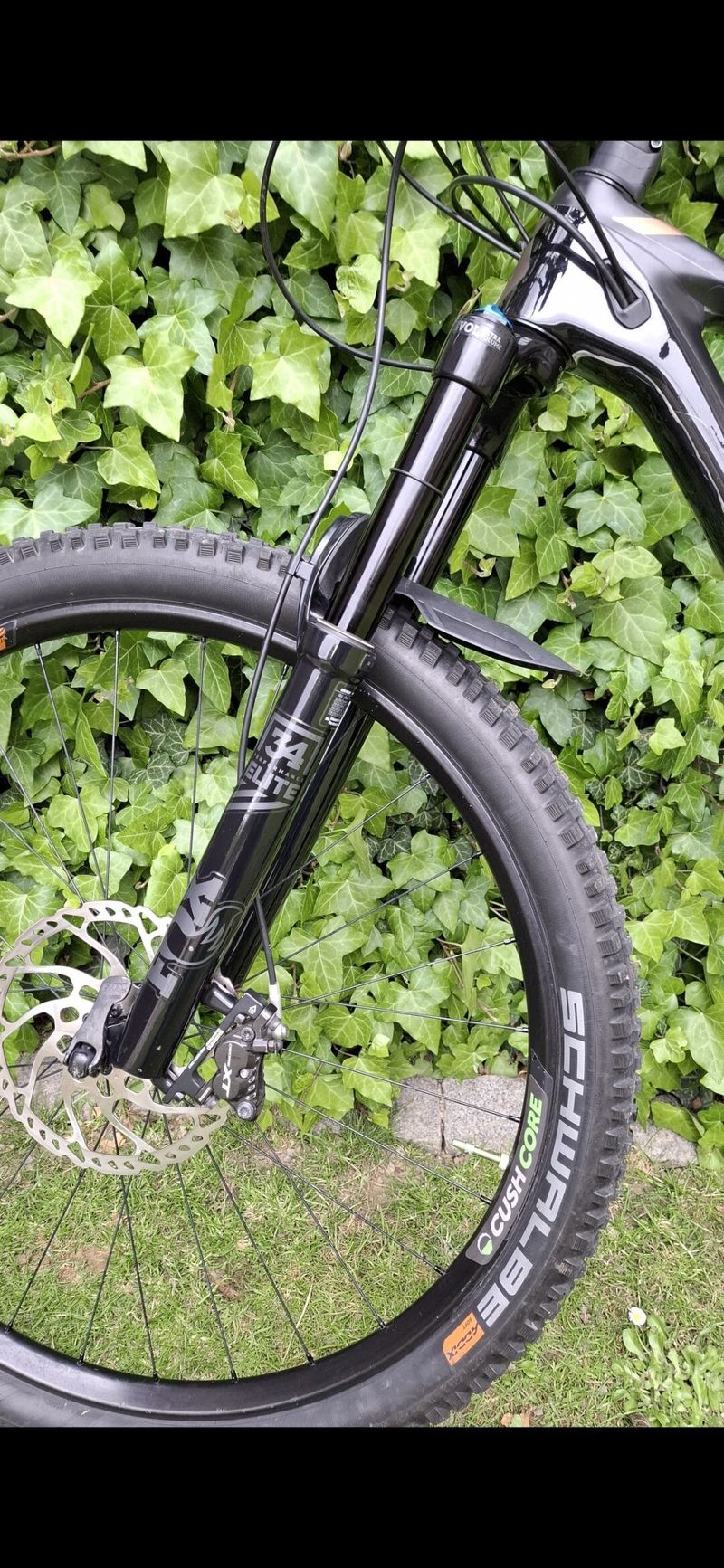 Scott genius 910 HMX carbon 2019 