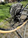 Prodám Trek procaliber 9.8 karbon 