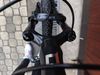 Pells razzer Evo Elite Black 2022