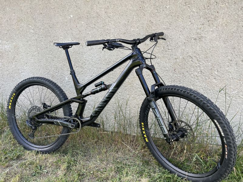 Canyon Torque 29 CF 7 XL