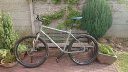 Surly Troll