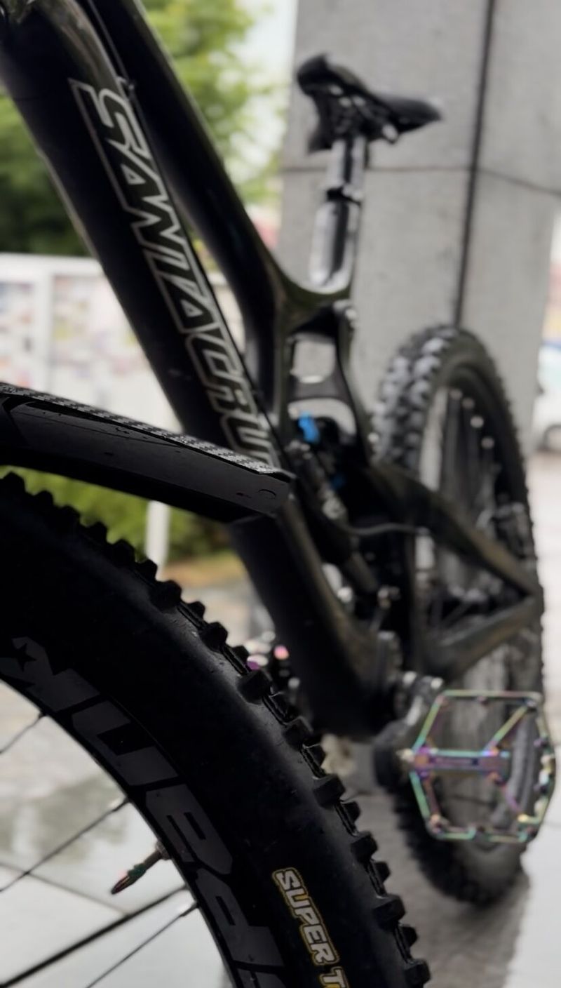 Santa cruz v10 