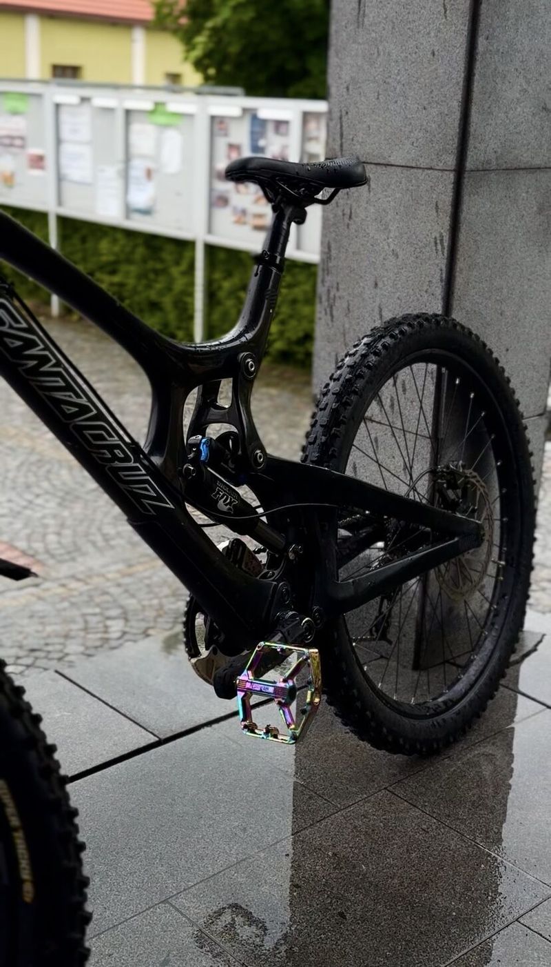 Santa cruz v10 
