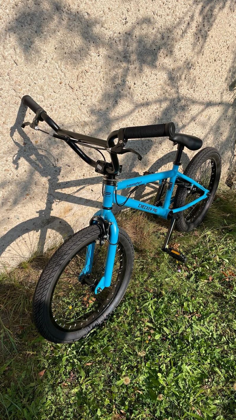 BMX kolo Checker Pig