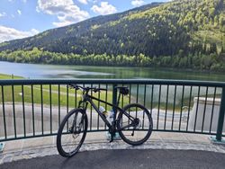 horské kolo Bianchi Methanol SX 29"er Carbon