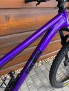 Ragley Big AL 2.0 Hardtail