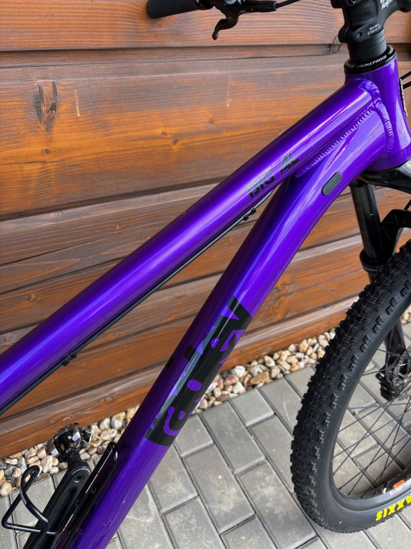 Ragley Big AL 2.0 Hardtail