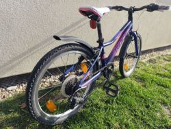 Rock machine Catherine 20"