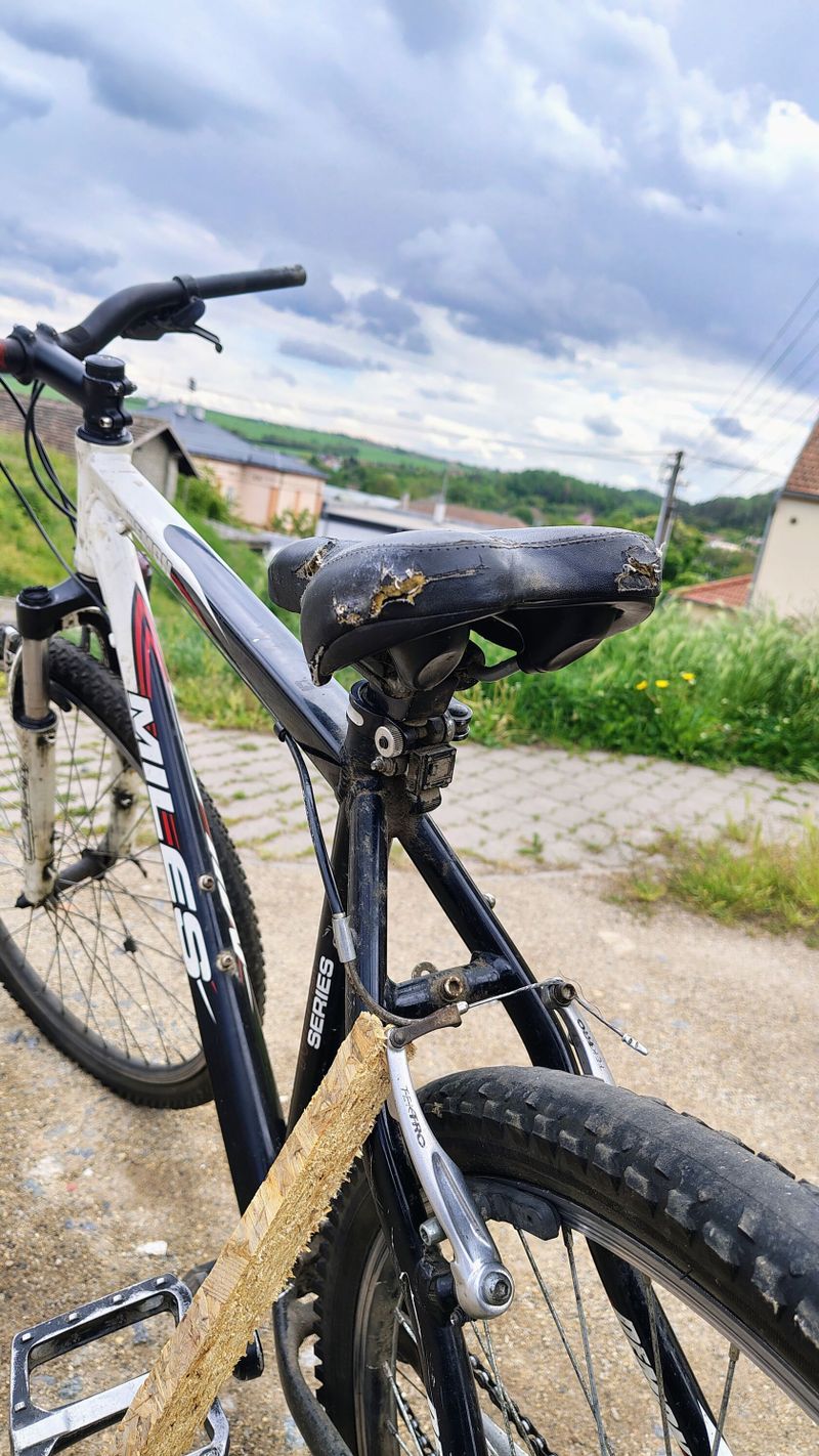 Horské kolo Miles Demon MTB