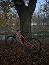 Canyon spectral AL5 2022