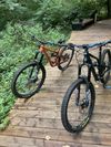 Canyon spectral AL5 2022